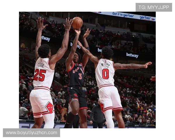 最新Betway登录体育技巧分享，提升你的体育投注成功率与用户体验